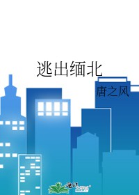 逃出缅北短剧同款周边